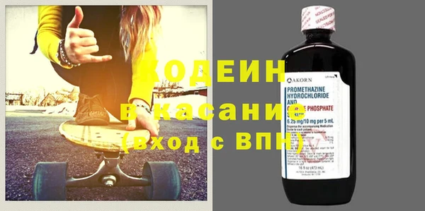 индика Балахна