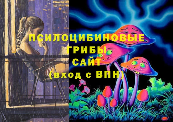 стафф Переславль-Залесский