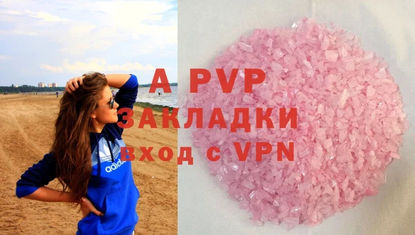 индика Балахна