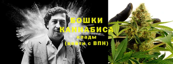 мдпв Пересвет