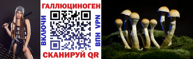 Галлюциногенные грибы GOLDEN TEACHER Рудня
